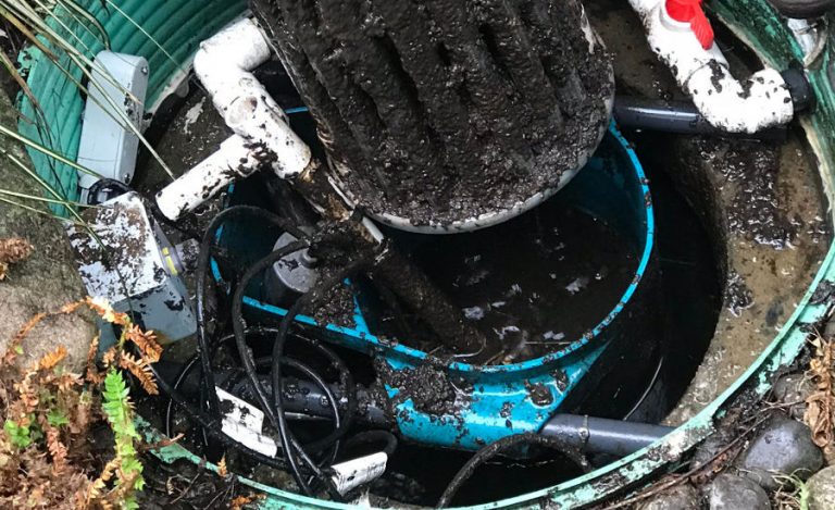 Septic System Maintenance Tips