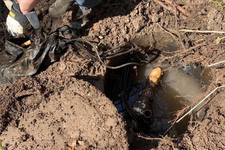 What are the signs of a septic system failure