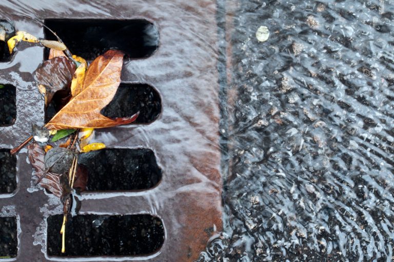 Signs Your Storm Drain Needs Cleaning