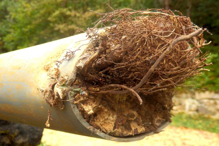 Sewer System Repairs