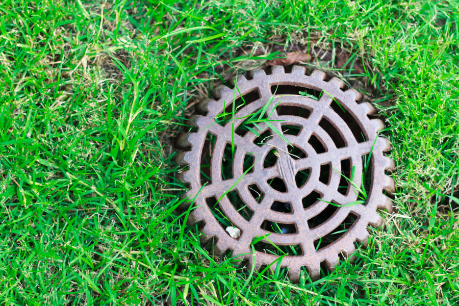 drain fields
