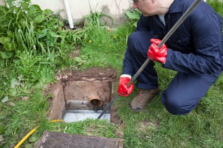 drain field