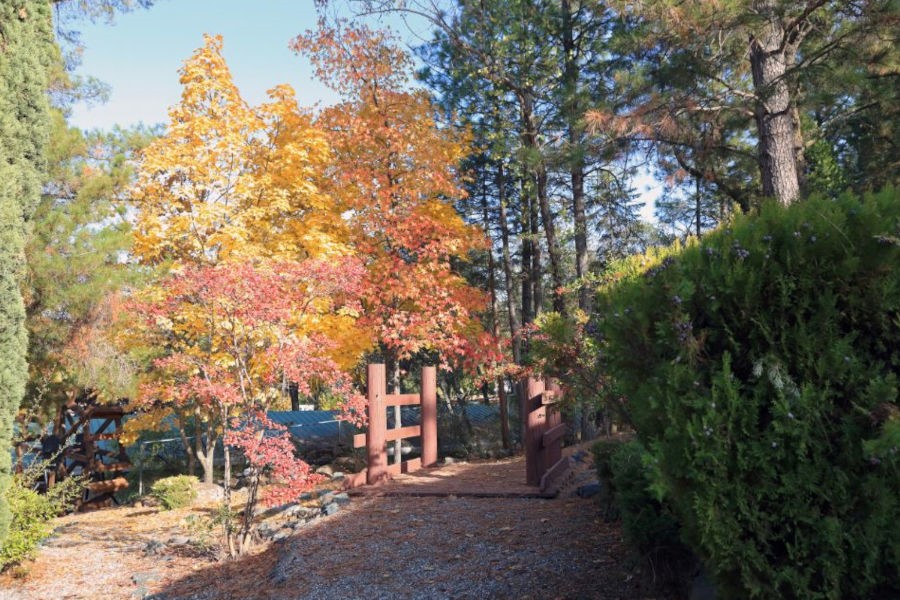 Auburn, WA Septic and Sewer Services