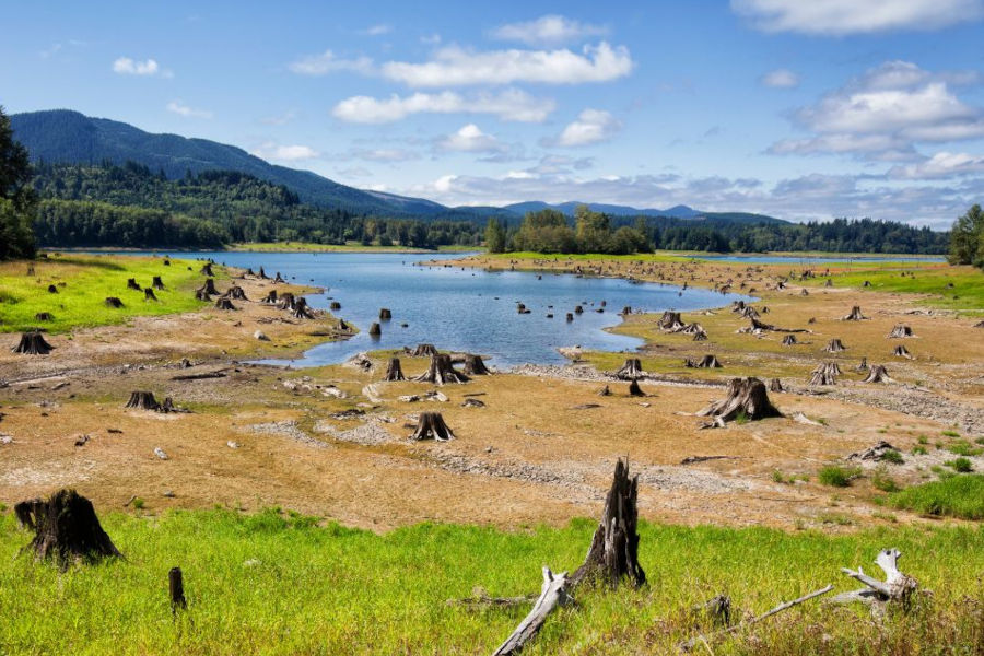 Eatonville, WA Septic and Sewer Services