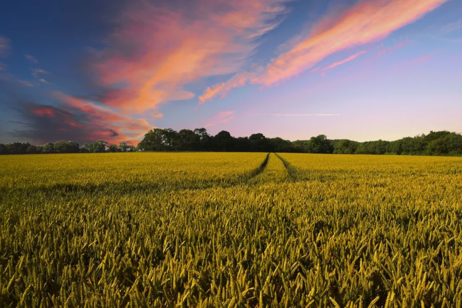 Roy, WA Septic and Sewer Services