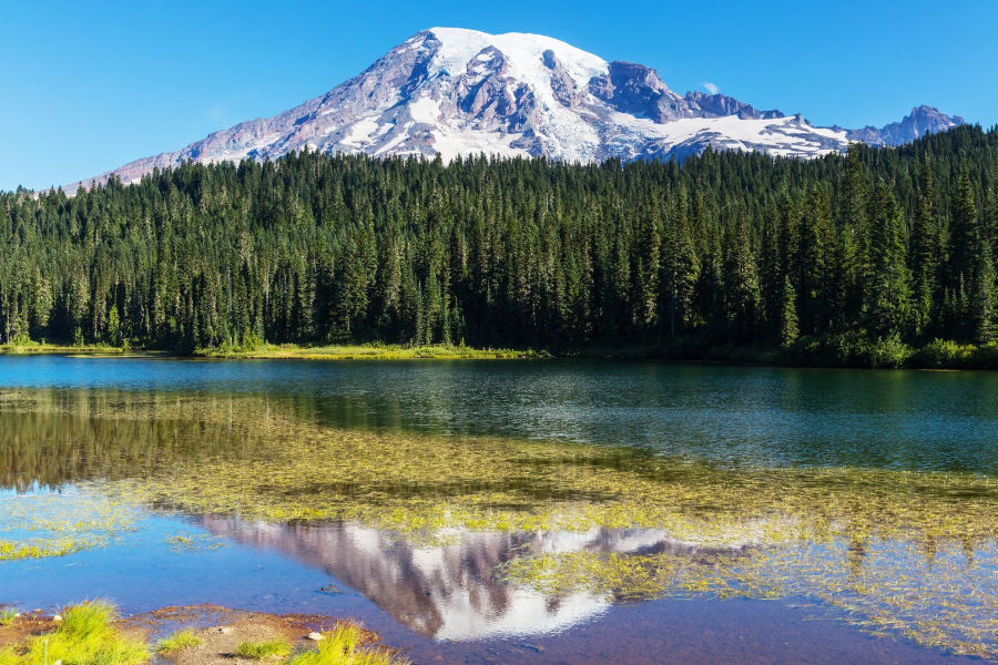 Rainier, WA Septic and Sewer Services
